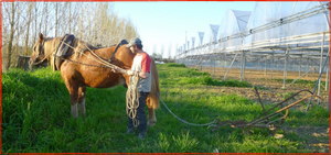 Producteurs engagés #1 Le binôme maraîcher